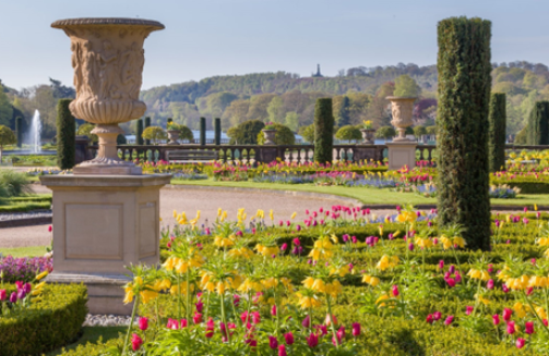 Trentham Estate gardens view'